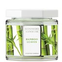 YR Scentworx Bamboo Leaves Home Fragrance Candle – 14.5 oz 3-Wick Glass Jar