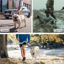 Double Handle Dog Leash - Heavy Duty, 4-6FT Reflective Tactical Leash with 2 Padded Handles, Shock Absorbing Bungee, Car Seatbelt & Easy Snap Hook, for Large, Medium & Small Dogs (Black)