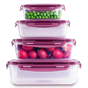Today's Present Food Storage Container with Lids Set For 4, Plastic Mixing Bowls, Airtight Stackable Leakproof Reusable Storage Containers for Kitchen, BPA Free, Freezer, Microwave, Dishwasher Safe 