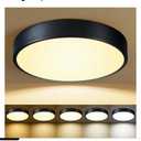 Black Flush Mount Ceiling Light 12 inch LED Dimmable Ceiling Lamp 24W 5CCT(2700K-5000K) Modern Close to Ceiling Light Fixture for Bedroom Foyer Kitchen Entryway Closet Hallway