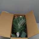 Somikis 30 Inch Outdoor Christmas Tree Set of 2, Battery Operated Pre-Lit Artificial Small Xmas Tree, w/LED Lights and Realistic Carolina Pine for Pathway, Porch, Driveway, Yard