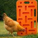 Pig Sorting Board - Livestock Sorting Panel - Cattle Panel, Hog Panels, Mini Pig, Baby Goat Supplies - Show Pig Supplies Livestock - Farm Equipment - Small 29" x 18" x 2" - Orange