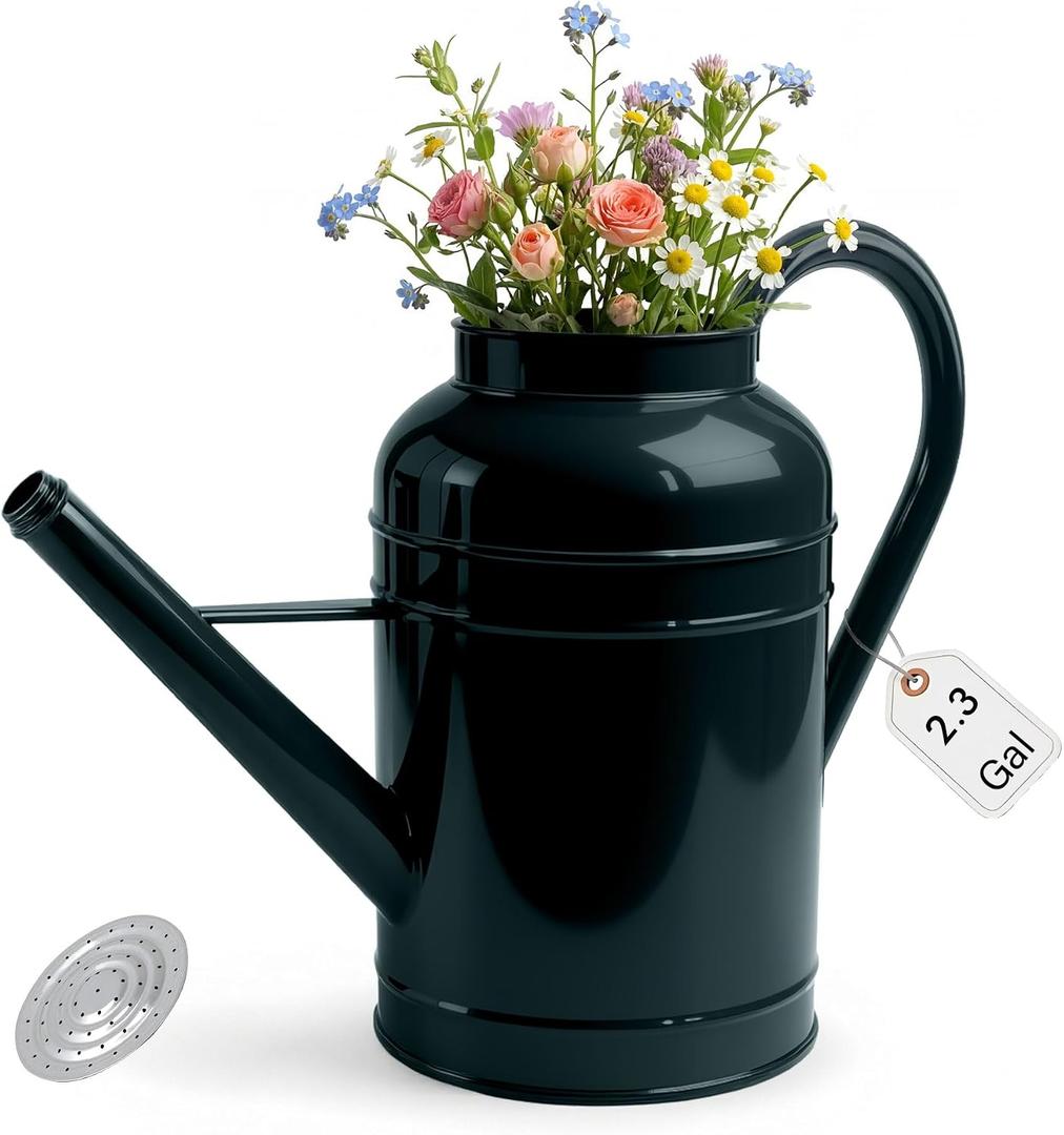 ‌2.3-Gallon Metal Watering Can,8.7L Galvanized Watering Can for Outdoor Plants with Removable Long Silver Spout