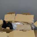 Mocomax Canvas Art Print Rack for Painting, Portable Folding Art Display Stand in Artist Galleries & Studios, Functional Art Storage Drying Rack for Posters, Artwork, Prints, Canvas, Panels, Black (L)