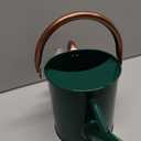 Metal Watering Can with Removable Spout, Galvanized Steel Plants Water Can for Women, Men and Kids' Outdoor or Indoor Gardening - Nice Flower Watering Pot Gift & Decoration (Green, 0.6 Gallon)