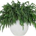 24 Pcs Realistic Christmas Greenery Stems, Natural Droopy Pine Branches,Soft Bendable Artificial Pine Branches, Lifelike Pine Stems for Vases, Wreaths,Garland Christmas Decorations,Thanksgiving Decor