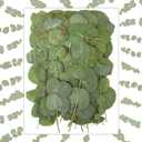 100 Pcs 6 Inch Pressed Dried Eucalyptus Leaves 100% Natural Preserved Real Eucalyptus Stems Dried Flowers Greenery for Vase Filler DIY Art Crafts Invitations Scrapbook Card Gifts Decoration
