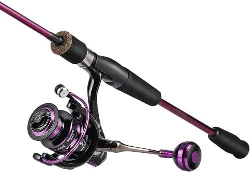 Sougayilang Fishing Rod and Reel Combo, Stainless Steel Guides Fishing Pole with Spinning Reel Combo for Saltwater and Freshwater, Green