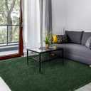 Area Rug for Bedroom Living Room, 6x9 ft Large Solid Soft Fluffy Dark Carpet, Washable Non-Slip Plush Fuzzy Shag Floor Mat for Bedside Home Office Decor, Forest Green