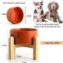 Petygooing 28 OZ Rust Red Elevated/Raised Ceramic Dog Bowl for Small and Medium Breeds, Dog Food Water Dish with Stand,Pet Feeding Bowl with Anti Slip Rubber for Cats Small and Medium Dogs (3.6 Cups)