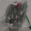 40 Pcs Artificial Pine Branches with Red Berry Picks 11" Winter Christmas Greenery Fake Juniper Leaves Norfolk Pine Stems Needles for DIY Craft Wreath Garland Vase Filler Home Decoration (40, Green)