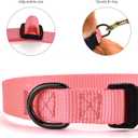 2 x AUDWUD Thick Nylon Collar,Classic Adjustable,Multiple Colors,Suitable for Small,Medium and Large Dogs,4 Sizes (L: 15.5"-22.5", Baby pink)