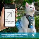 Cat Harness and Leash for Walking Escape Proof Soft Adjustable Cat Leash Breathable Honeycomb Structure Comfortable Vest Easy to Wear Kitten Harness for Outdoor Travel, Honeycomb Blue, XS
