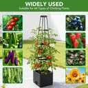 2 Pack Raised Garden Bed Planter Box with Trellis, 57'' Self Watering Tomato Planters for Climbing Plants, Tomato Cage Trellis for Vegetables & Vine Flowers Indoor Outdoor Patio