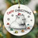 Capybara Ornament 2025  Funny Animal Lovers, Cute Ceramic Ornament for Women, Men & Friends, Unique Capybara Decor for Tree Decoration or Gift Exchange