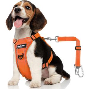 Dog Seat Belt Harness for Car, Dog Car Harness Adjustable Mesh Breathable & Dogs Seatbelt Safety Tether with Elastic Bungee (Orange, S) (Chest: 16.5-21.7", Neck: 8.7-13.8"))