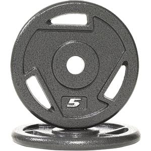 Fitvids Cast Iron 1-Inch Standard Weight Plate for Strength Training & Weightlifting, Multiple Weights A, 5LB Pair