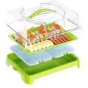 Chilled Portable Serving Tray Platterbox with Reusable Ice Pack with Lid Shrimp Cocktail Serving Dish Platter Cold Food Buffet Server for Appetizer Veggie Fruit Food Parties Outdoor Picnic, Green