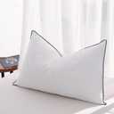 Flat Feather Down Pillows Pillows for Sleeping Queen Size Set of 1, Thin Hotel Pillow 1 Pack with Airyfil Fillings, Soft Bed Pillow for Stomach, Back Sleepers, Soft, 2030 in.