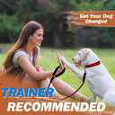 6 FT Red Strong Rope Dog Leash with Comfortable - Padded Handle Heavy Duty Loop Leash | Highly Reflective No Pull Pet Training Threads Leashs for Medium Large Dogs