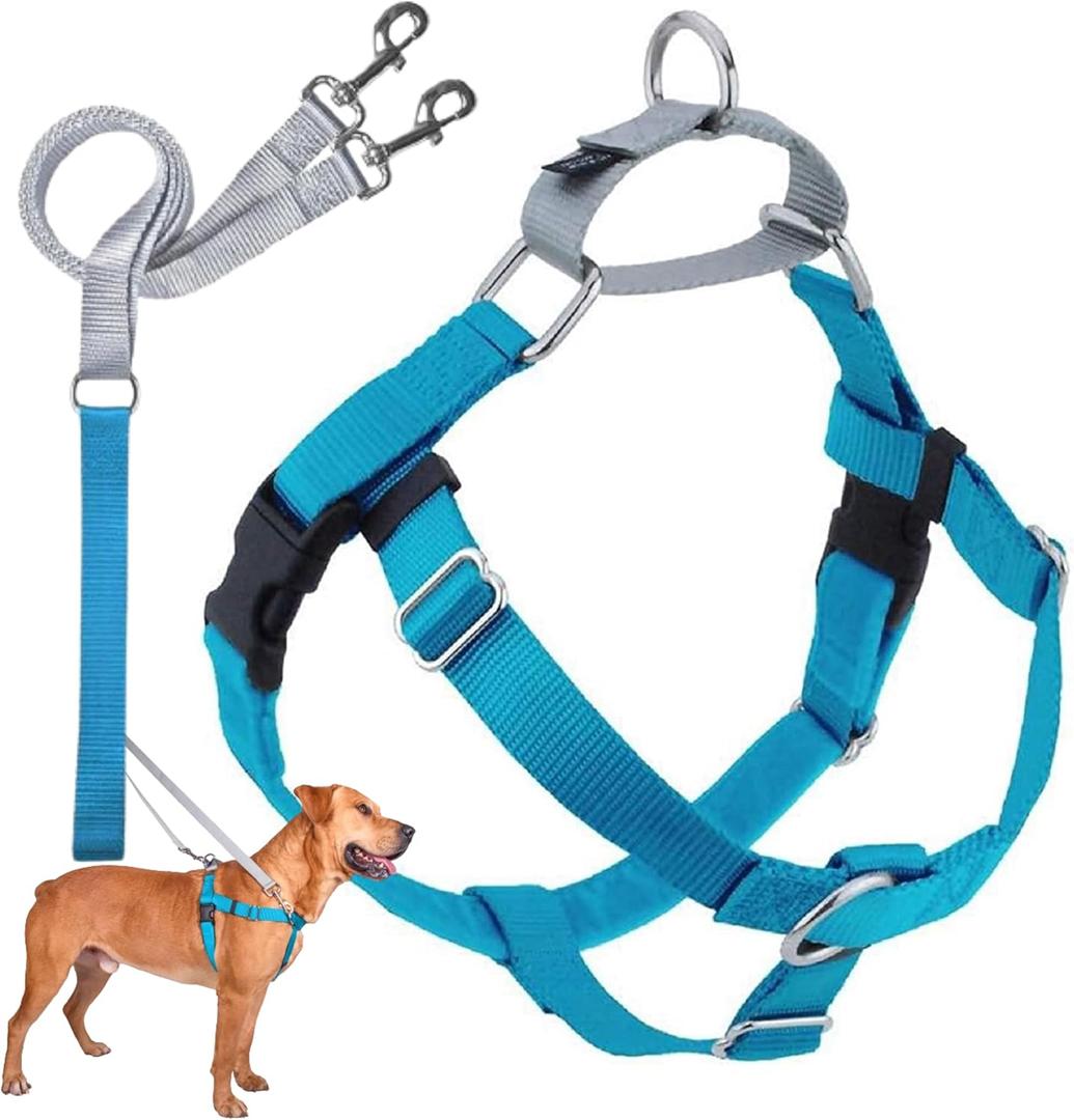 2 Hounds Design Freedom No Pull Dog Harness, Adjustable Harness and Leash Set, Easy Walking & Comfortable Control, Fits Small, Medium & Large Dogs, Solid Colors, Made in USA, 5/8" XS, Turquoise