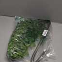 Ttranewsoo Artificial Greenery Stems, 43.3" Nandina Branches Tall Faux Plant Stems for Vase, Greenery Decor Stems Leaves Bunches for Shop Garden Office Home Dcor(Green,2Pcs)