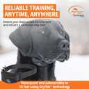 SportDOG NoBark SBC-R - Waterproof, Lightweight & Programmable Barking Correction Collar - Multiple Stimulation Levels for Outdoor Temperament Training - Black