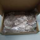 WILLBOND 36 Pieces Christmas Poinsettia Glitter Faux Flowers Christmas Artificial Flowers Tree Ornaments Topper Xmas Decorations (Champagne)