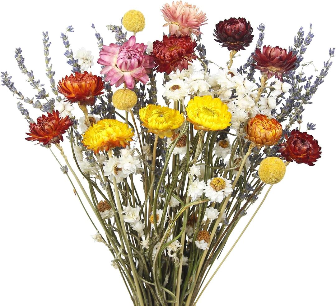 Dried Daisy Flowers Bouquet Natural Lavender Bundles Dried Gerber Daisies Craspedia Flowers Dried Daisies Multicolor Floral Arrangements for Wedding Party Table Centerpiece Decor Farmhouse DIY