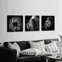 KREATIVE ARTS - 3 Panels Lion King Black and White Canvas Prints Wall Art Modern Painting Wall Pictures for Living Room Office Decoration Ready to Hang (20x20inchx3pcs/set)