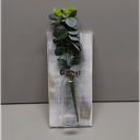 2 Pack Wood Glass Wall Vases and Plants Artificial, Indoor Wood Hanging Vase, Modern Farmhouse Wall Decor for Bathroom Office and Living Room, Farmhouse Sconces Wall Decor (White)