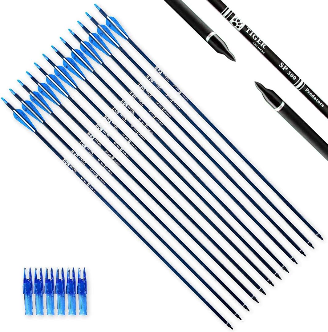 TIGER ARCHERY 30Inch Carbon Arrow Practice Hunting Arrows with Removable Tips for Compound & Recurve Bow(Pack of 12) (Blue White)