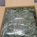 9FT Thick Christmas Garlands with 240 Cedar Branches, 50 Lights, Green Cedar Garland for Christmas Decorations, Artificial Greenery Garland for Table Mantle Wall Indoor Outdoor Holiday Decor