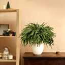 16 Pcs Artificial Norfolk Pine Branches - Real Touch Pine Stems Fake Plants Pine Picks Faux Greenery Stems for Vase DIY Crafts Garland Wreath Christmas Indoor Outdoor Home Decor