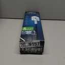 Extendable Cleaning Brush for Bathroom Tiles Bathtub Toilet Long Handle Scrubber