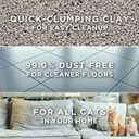 Purina Tidy Cats Clumping Cat Litter Odor Control, Free and Clean Unscented Multi Cat Litter - 16 lb. Bag