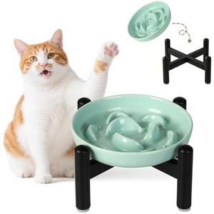 Elevated Slow Feeder Cat Bowl - Ceramic Cat Food Dish with Anti-Slip Stainless Steel Stand - Raised Maze Plate for Slow Eating - Mint Green
