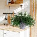 16 Pcs Christmas Norfolk Pine Branches Picks,18" Extra Length Artificial Xmas Branches Plants Pine Stems Needles, Fake Greenery Norfolk Pine Stems Sprigs for DIY Craft Garland Home Garden Decor