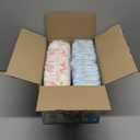 The Honest Company Comfort Dry Disposable Diapers for Sensitive Skin, Hypoallergenic, Fragrance-Free, Summer '25 Seasonal Prints, Club Box, Size 2 (12-18 lbs), 72 Count