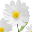 Giant Flowers for Decoration,Large Daisy Flowers Artificial,Big Paper Flower for Wedding,Birthday Party,Garden,Office,Home,Shop Window Display(White)