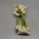 Floroom Ranunculus Artificial Flowers 18 Pcs Champagne Faux Silk Mini Ranunculus Bulk Fake Wedding Filler Flowers for DIY Cream Bouquets, Centerpieces, Bridal Shower Decorations & Arrangements
