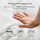 Queen Size Mattress in a Box, 10 Inch Queen Bed Mattress, 60x80 Inch Pocketed Coil Mattresses,Single Person PortableSoft Hotel-Grade