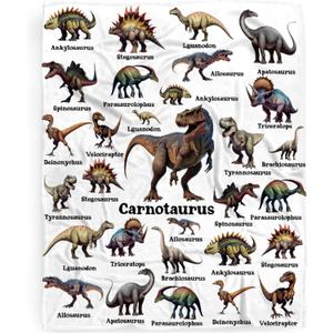 Dinosaur Blanket Gift for Boys, Jurassic Dino Dinosaurs Throw Blanket Gifts for Kids Girls Animal Wild Decor Plush Soft Lightweight Flannel Fleece Dinosaurs Blankets for Sofa Bed Chair 50x40In