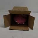 Prsildan Christmas Lighted Decoration 21" Pink Pig, 35 Lights 3D Pig with Christmas Hat & Candy Canes, Cute Decorations for Indoor Outdoor Home Kitchen Yard Garden Holiday Party