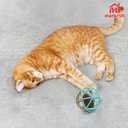 Squeaky Mouse Ball Cat Toy with Simulated Sound, 4.3in Mouse Ball Cage, Squeky Balls for Cats to Play With Indoor, Interactive Plastic Squeak Funny Toys Best for Playing Chasing Chewing Training