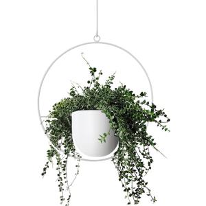 Hanging Planter Indoor Modern Boho Plant Pot Metal Wall and Ceiling Plant Holder Mid Century Minimalist Flower Pot for Hanging Plants, White (1PC)