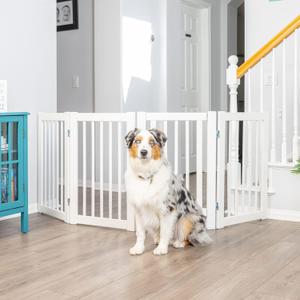 Primetime Petz 360 Configurable Freestanding Dog Gate with Door for Home (30, White) Primetime Petz 360 Configurable Freestanding Dog Gate with Door for Home (30, White)