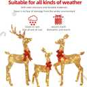 3-Piece 2D Lighted Christmas Deer Family Set - HOYECHI Large Outdoor Yard Reindeer Holiday Decoration with 145 LED Lights, Stakes, Zip Ties - Gold