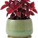 7.5 Inch Ceramic Planter with Saucer,Modern Garden Pots with Drainage Hole Mesh Net, for Indoor Outdoor Use (Crackle Green)