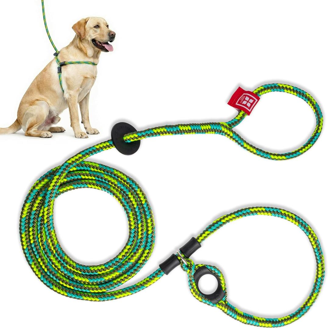 Harness Lead No Pull Dog Harness and Leash Set, Anti Pull Dog Harness, One-Piece Cushioned Rope Safely Prevents Escaping and Pulling (Medium/Large, Rainforest) (Rainforest (Olive/Lime/Turquoise))